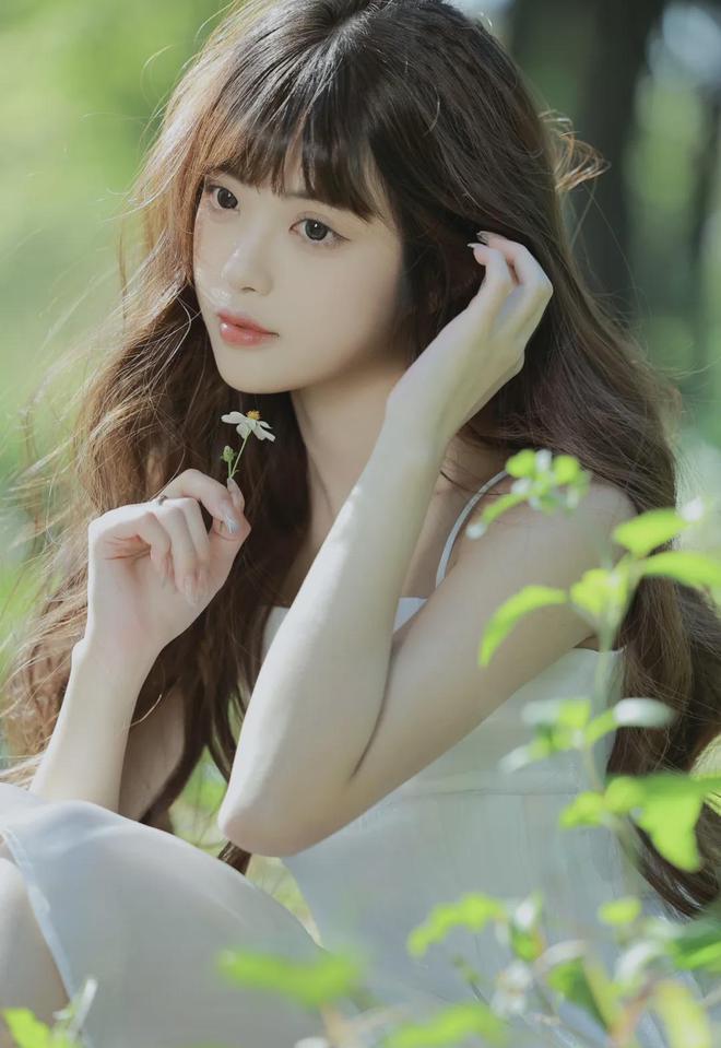 伊甸院忘忧草红杏 MBA智库